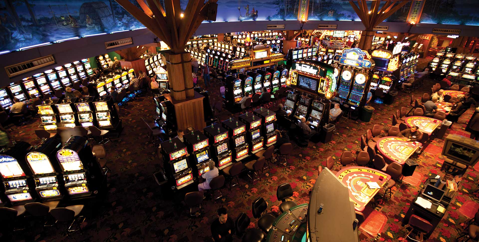 wild life slot free spins