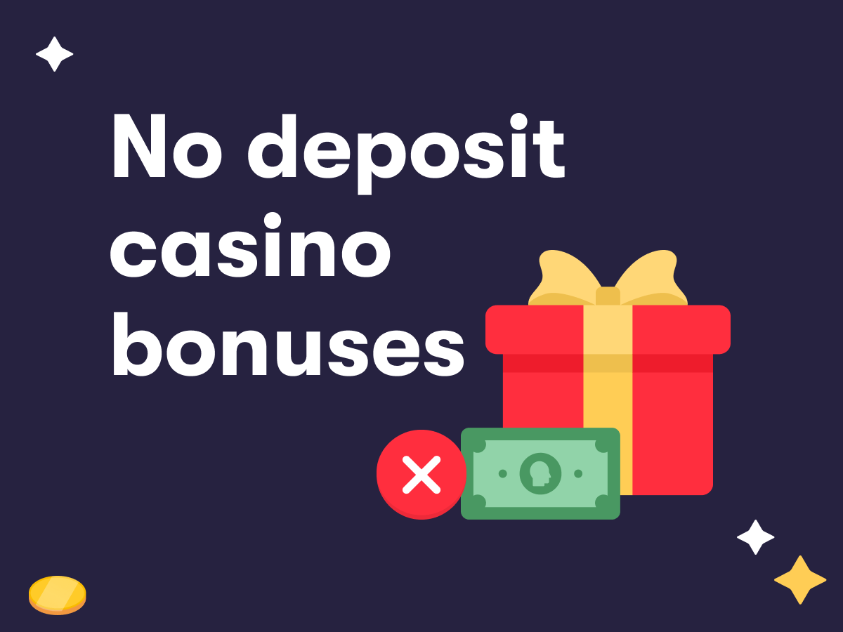 bison casino